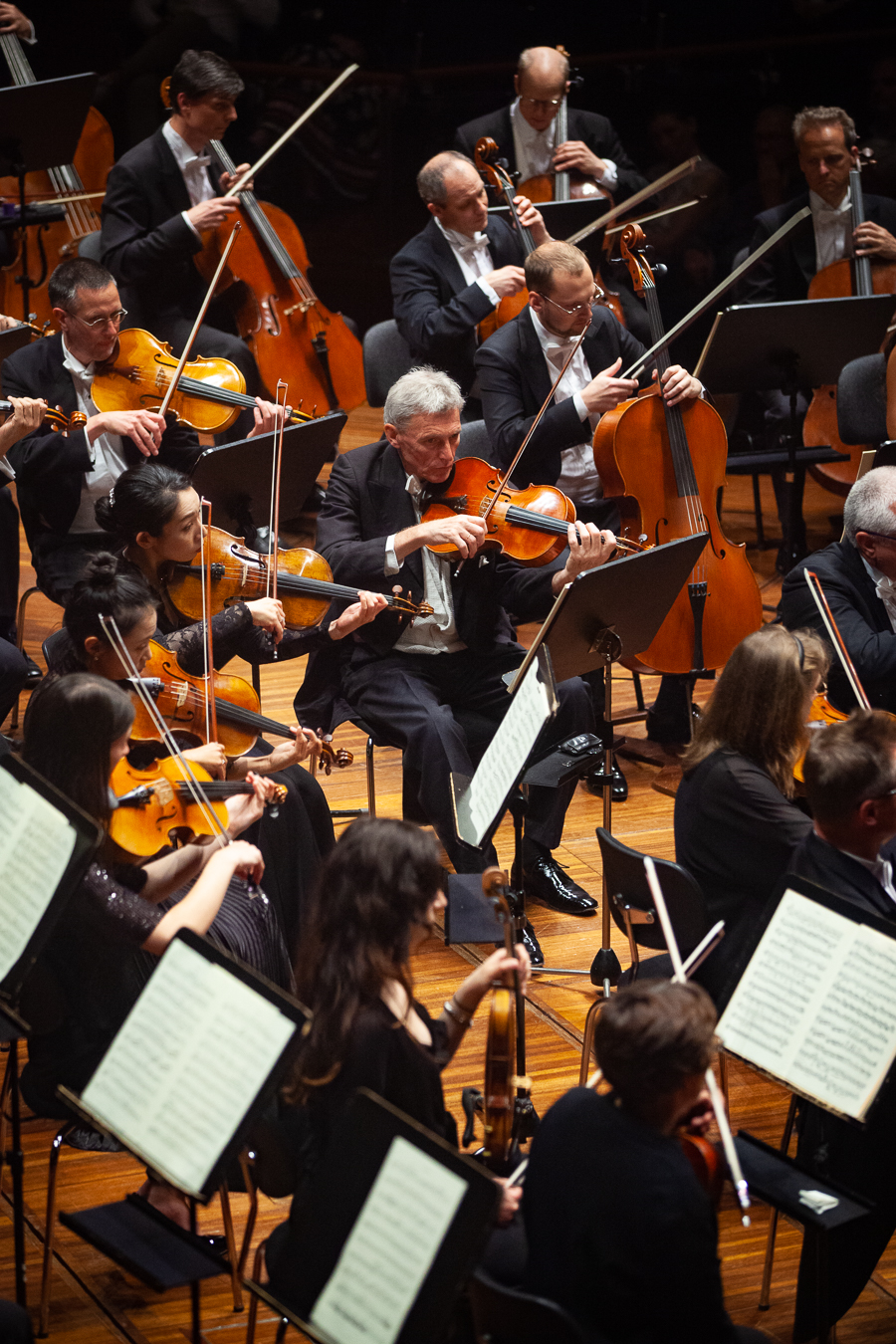 Musiker*innen des Tiroler Symphonieorchesters Innsbruck